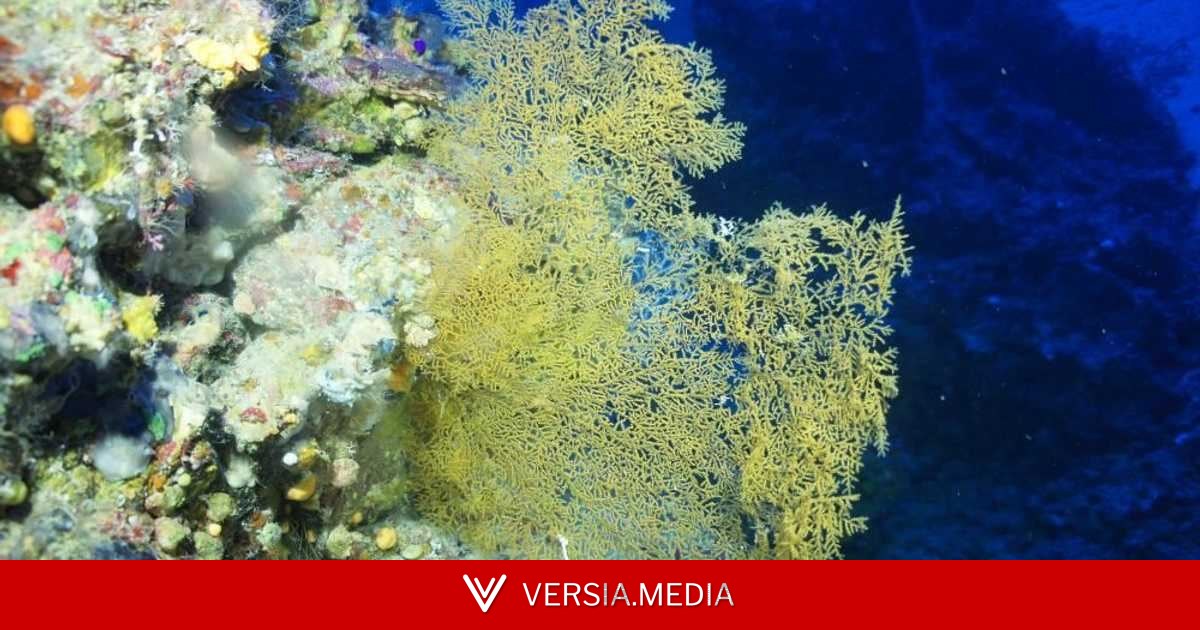 خطوة غير مسبوقة.. أميركا تطرح أعماق البحار للتعدين