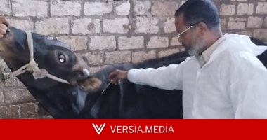 الحبس والغرامة عقوبة مزاول مهنة الطب البيطرى بالمخالفة للقانون