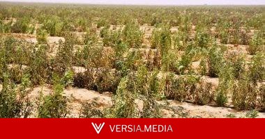 حبس وغرامة عقوبة إقامة محاجر على الأراضي الزراعية بالمخالفة للقانون