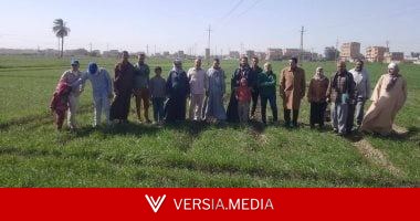 الأمن الغذائي على رأس الأولويات.. خطة الدولة تتوسع فى الزراعة والرى