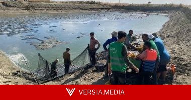 حالات محددة لإنشاء جزر وجسور بالبحيرات وفق القانون.. تعرف عليها
