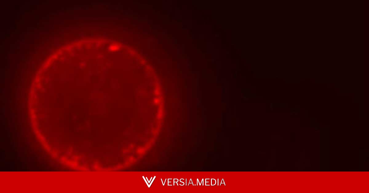 لأول مرة.. علماء يطورون خلية اصطناعية قد تغير مستقبل الطب