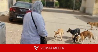 ضوابط وضعها قانون حيازة الحيوانات للترخيص والقيد بالسجل